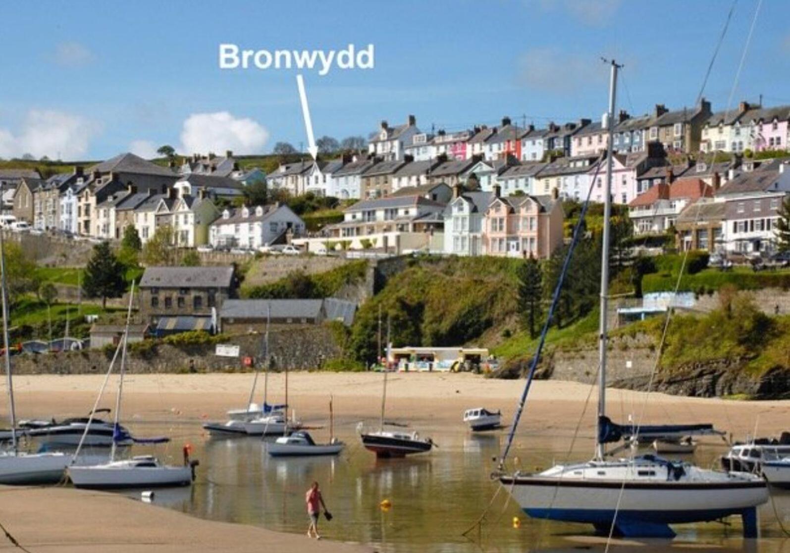 Bronwydd, Large Holiday Home In Seaside Town Of New Quay 新码头 外观 照片